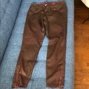 coated dark burgundy stretchy jeans